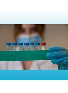 PROmate real-time PCR Testkit - bereit zur Auswertung